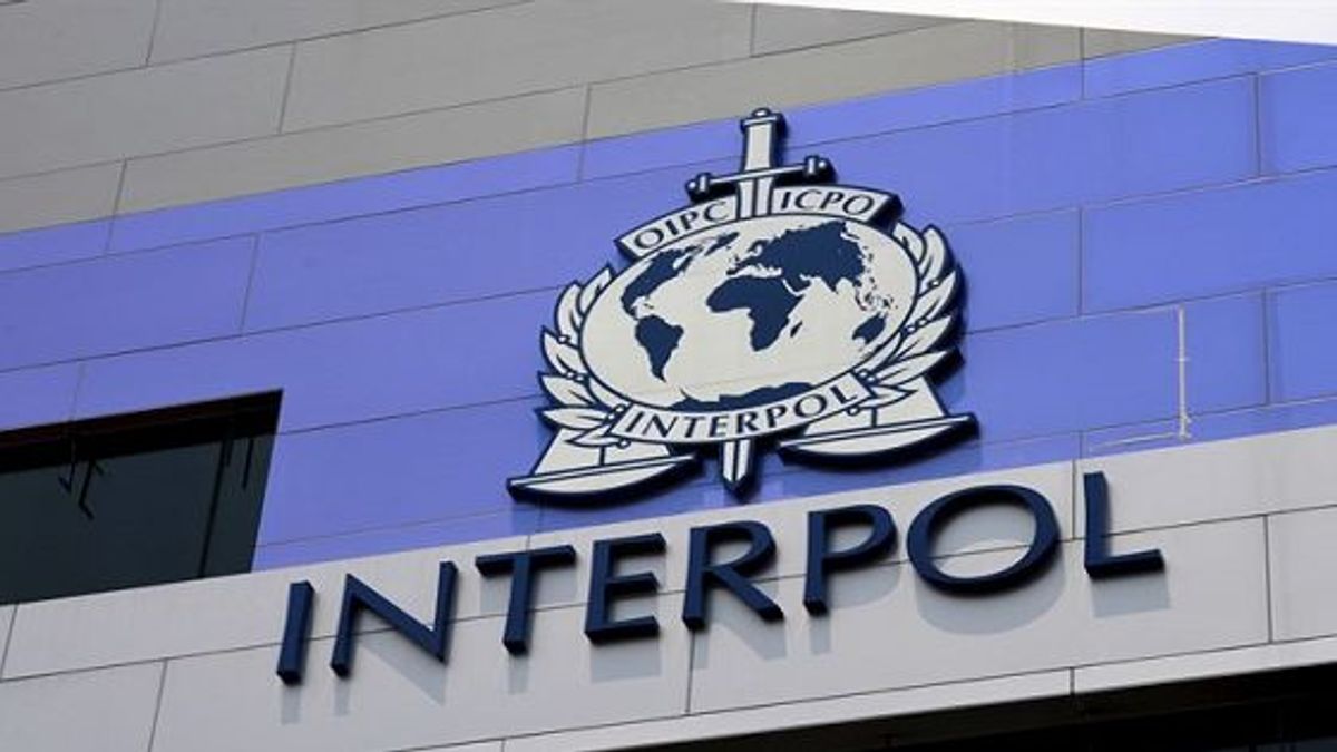 Interpol Clearance