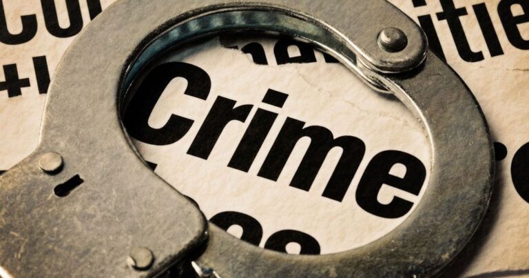 À quels crimes Interpol s’attaque-t-il ?