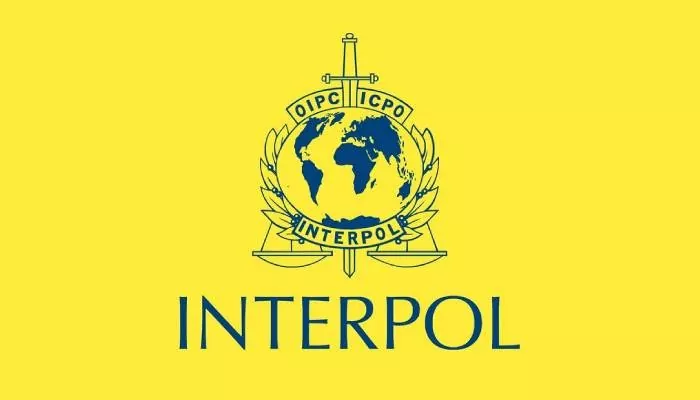 Interpol Yellow Notice